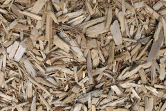 biomass boilers Thurso